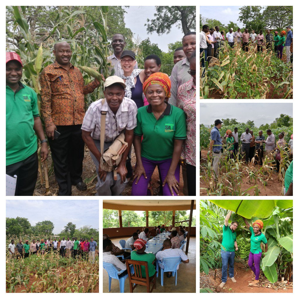 #ICT4agriculture starts through: 5years research on #agroecology, 30 on-farm researches run by farmers &amp; 3 on-station researches in 3 regions. All using #ICT to exchange knowledge, to store data together on cloud, to demonstrate scientific evidence; agroecological farming works!