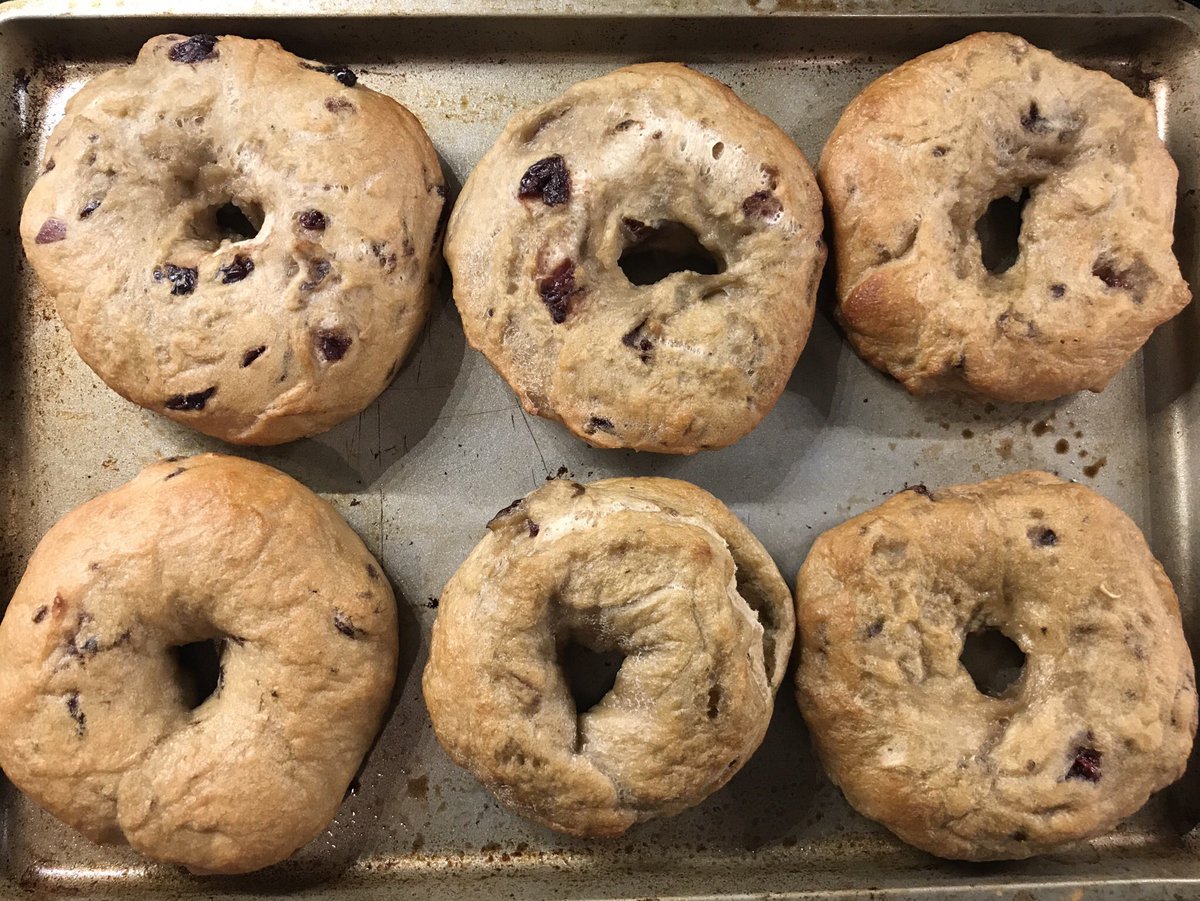 If you made homemade #bagels but didn’t take a photo of them, did you really make homemade bagels?

My first batch turned out a bit lumpy, but they tasted good and that’s what counts 😋