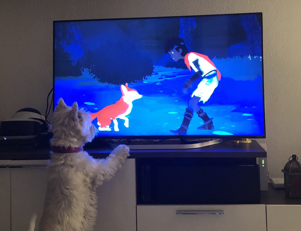 Pablo_fmdo's tweet photo. Mi perro se ha hecho un amigo nuevo 😂 @RiMEGame #Rime #ps4 #juegazo https://t.co/j5IXWrz0nB