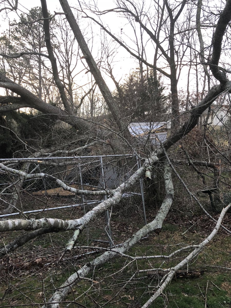 iamdono_'s tweet photo. God is real. Last night a massive oak tree fell on our shed it was angled to smash right through my parents bed room but it missed the house only scratching the window. Not knowing, last night I was praying for safety of my parents..🙏🏽 https://t.co/5i6jEjVegh
