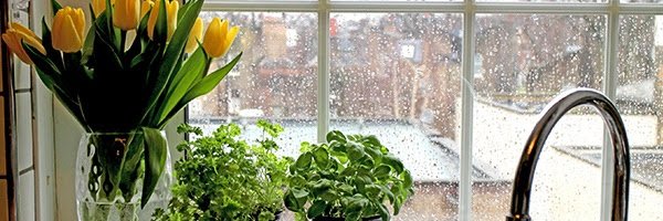InspectKansas's tweet photo. Safeguard your home against water damage
https://t.co/TCzBUdscN4 https://t.co/n3RAOTKVpt