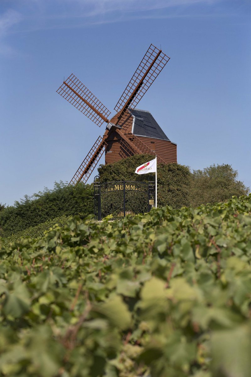MarkOutandabout's tweet photo. Check out the details of our fabulous Champagne trip @CHChampagne @Moet_UK @GHMUMM @guycharlemagne1 @MackenzHelen #champagne #travel #france https://t.co/TGp0zonYhg https://t.co/dnXXeyBenU