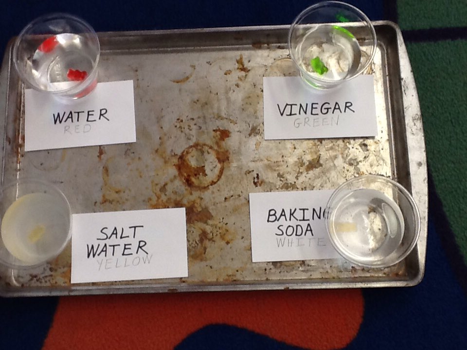 mrskidclass's tweet photo. What will our gummy bears look like tomorrow? https://t.co/IS1sFKa7CF