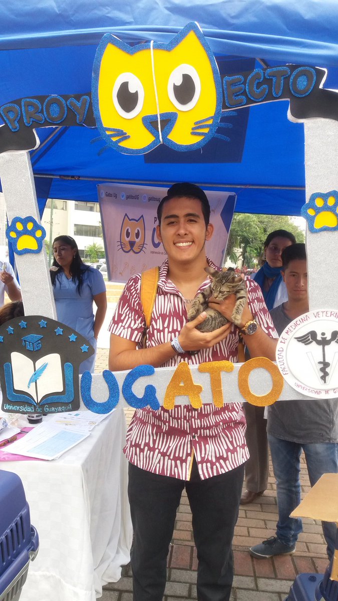 gatitosUG's tweet photo. Hemos dado en adopción hoy a 14 felinos. Aún tenemos más mininos que necesitan un hogar. 
Te esperamos en la Plazoleta.😻 https://t.co/OWWJ71L05j