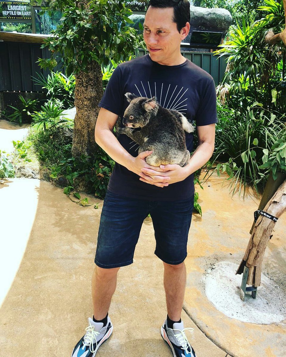 TiestoPy's tweet photo. 🐨 https://t.co/qh6qyHGIUE