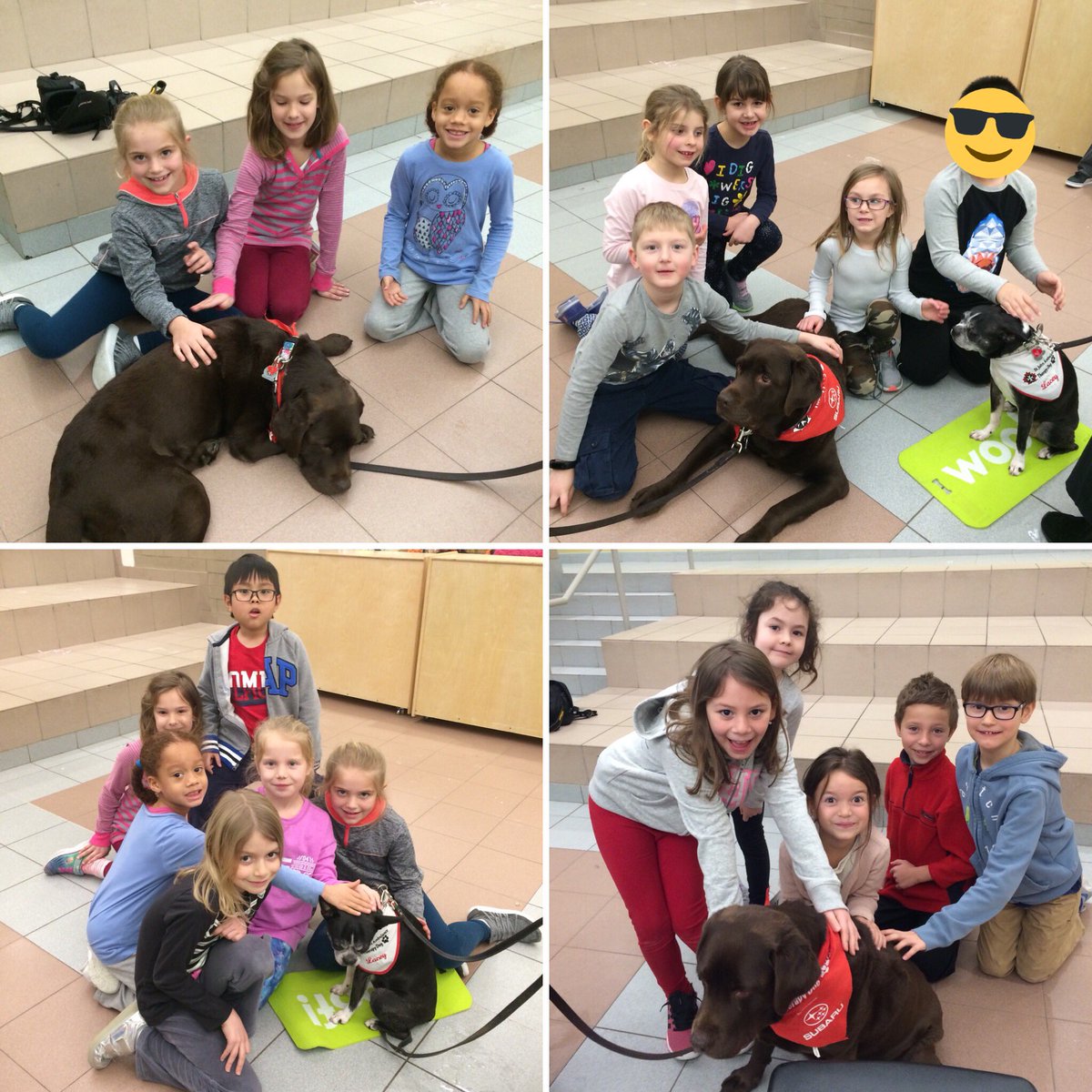 Enjoyed our morning with some furry friends. #therapydogs <a href="/StBrigidHCDSB/">St. Brigid</a>