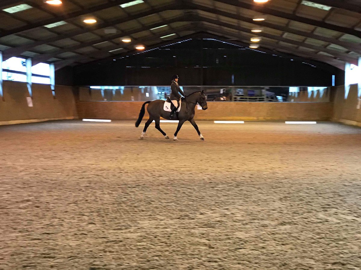 Congratulations to both our BUCS teams - bringing those rosettes home! #Equine #Equine #Uwe #UWESport #WeLikeToRide #Team #Compete #Rosettes #Horse <a href="/UWESport/">UWE Bristol Sport</a> <a href="/TheSUatUWE/">The SU at UWE</a>