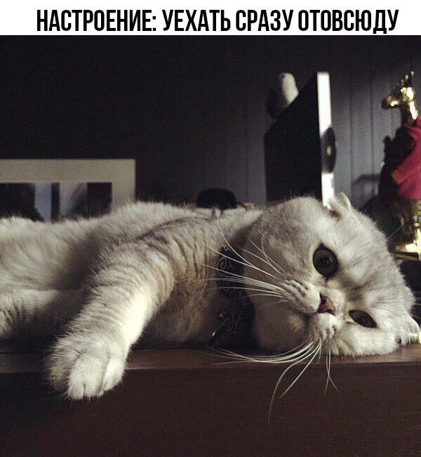 _alinka99_'s tweet photo. 😣 https://t.co/cpZhdulprr
