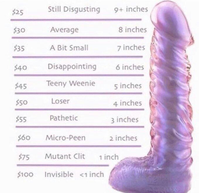 Sarahasbitch's tweet photo. have a pindick you shouldbe locked in #chasitity paying your monthly #tinydicktax to @mistress_tea @RTlilbtch #findom https://t.co/K1oQqREE4v
