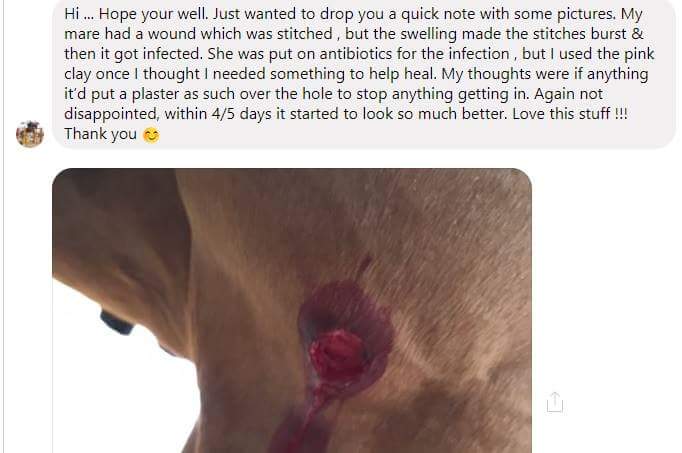 Ecohoof's tweet photo. Another #HappyCustomer who has been using #PinkHoofClay not just for the hoof area, for all skin conditions #MagicInATub #247Equestrian  #horsehour #horses #EquineHour #ponyhour #riderhour #eventing #eventinghour #Horsepow https://t.co/KGtMCOmPYd