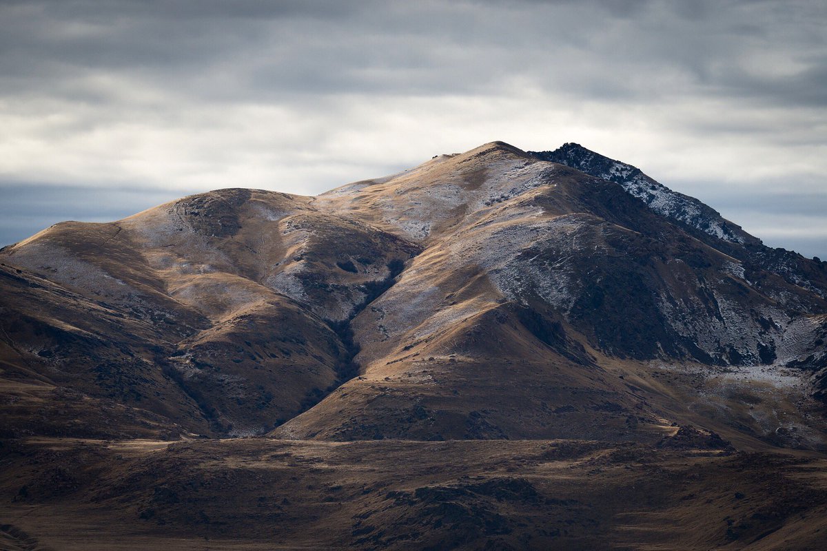 MindfulMeditat's tweet photo. Soft light and a dusting of snow. https://t.co/3emji3xfU1