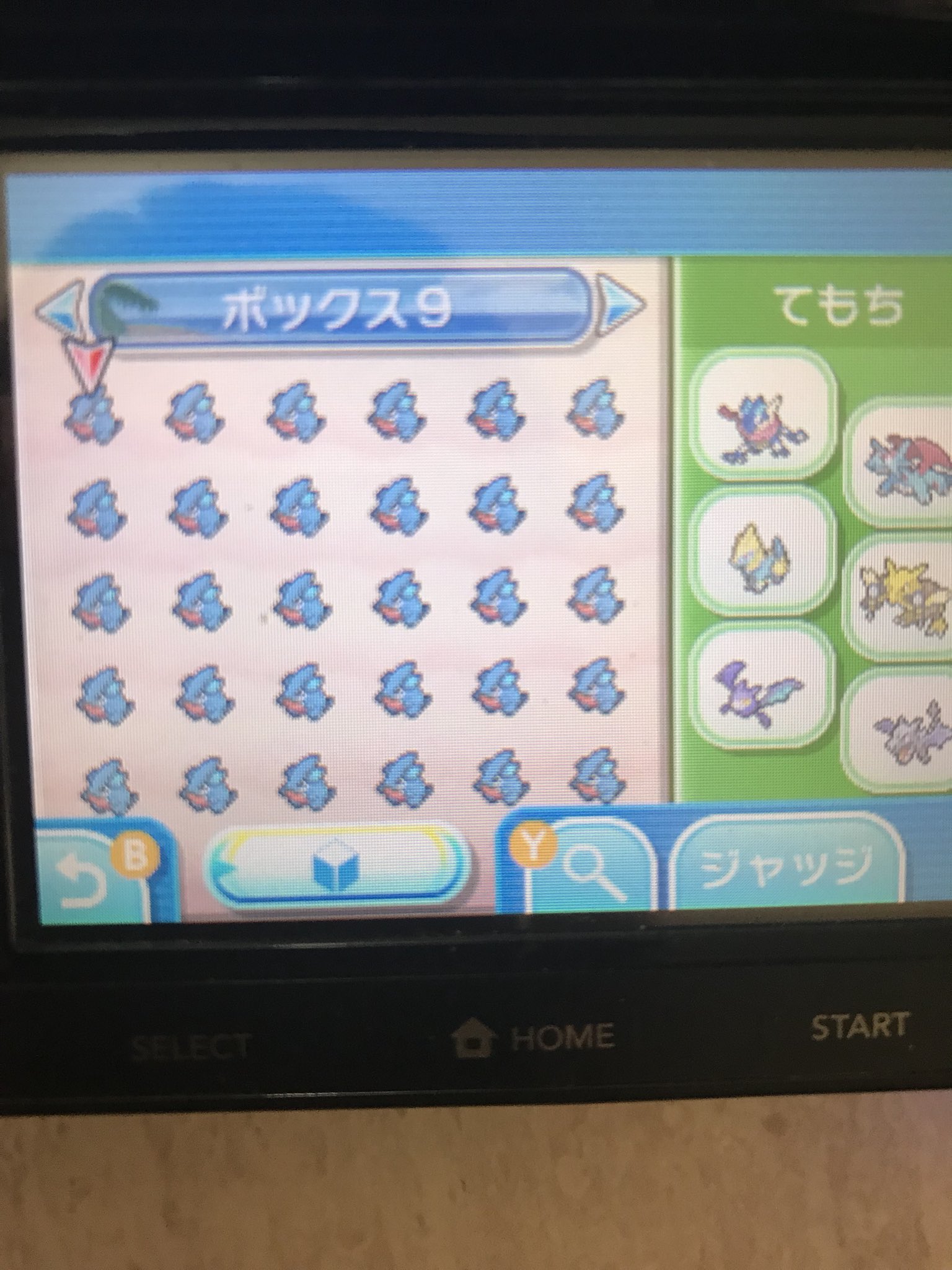 画像 ミラクル交換の闇ゲノセクトは改造っぽいんで逃した T Co 0ukcgmmpns Matomehub まとめハブ