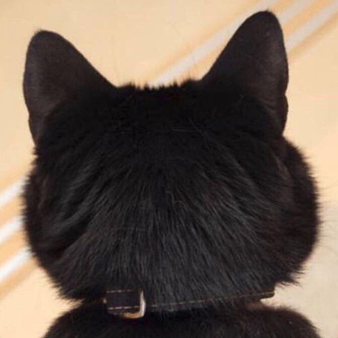 smalltenimal's tweet photo. https://t.co/u5uR4VV4av