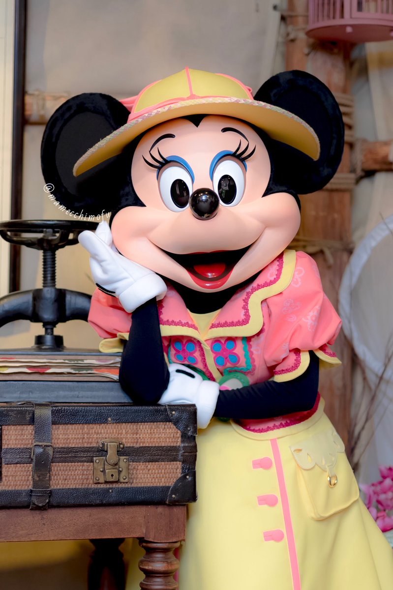 ট ইট র まめっち お久しぶりのトレミニちゃんはお天使 Mickey Friends Greeting Trails ミッキー フレンズ グリーティングトレイル Minnie Mouse ミニー マウス トレミニ