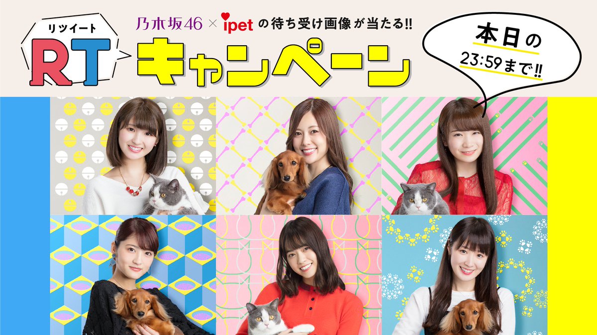 本日最終日😳「乃木坂46×ipet RTキャンペーン」🎯
フォロー＆RTで、限定待ち受け画像が当たる📱
期間中は1日1回まで・何度でも応募可能👌
▼詳細▼
nogizaka46.ipet-ins.com/campaign/02/
🐶乃木坂メンバーが出演の限定動画公開中🐱
nogizaka46.ipet-ins.com
#乃木坂アイペットRT　#アイペット