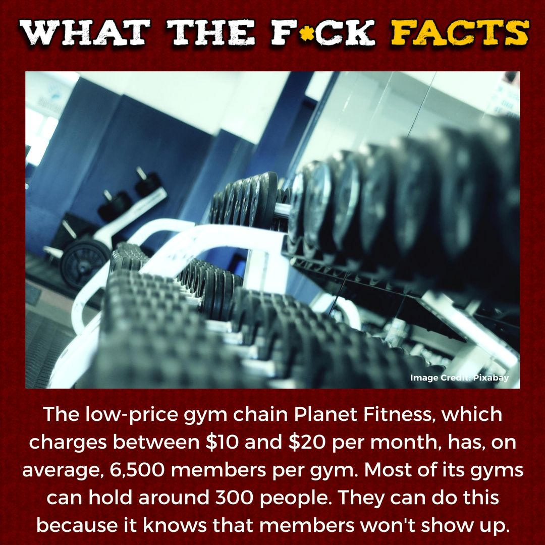 WhatTheFFacts tweet picture