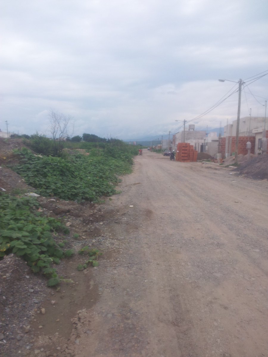 lowryder49's tweet photo. Estamos a semanas de comienzo de clases y los pastizales estan cada dia mas altos cerca de metro y medio o más junto a la escuelita. https://t.co/W5drZsBbHd