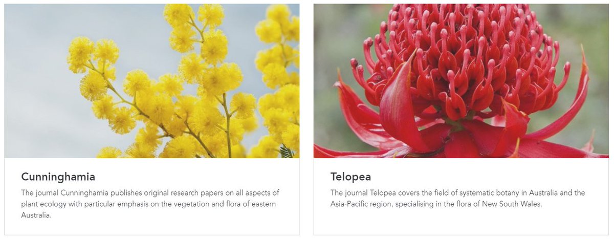 bhl_au's tweet photo. We're thrilled to announce that the New South Wales Herbarium @RBGSydney has joined @bhl_au and that "Cunninghamia" and "Telopea" will soon be available on @BioDivLibrary.  #OpenAccess #InCopyright #botany #systematics #plantecology (via Royal Botanic Gardens and Domain Trust) https://t.co/9itTGmNnQg