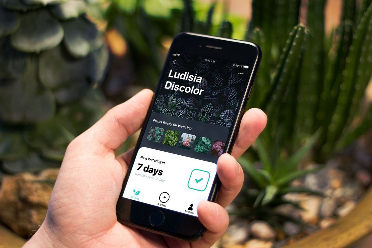 设计案例：绿色植物浇水跟踪 APP，为家庭需要做 UI 设计。 #设计参考 // Case Study: Watering Tracker. UI Design for Home Needs. https://t.co/OaV7KC3WXz https://t.co/Y8vz3qmhzH 1