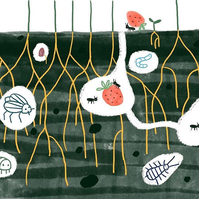 elyluuu's tweet photo. 🌱Sneak peek. 🌱 Pedacito de uno de esos proyectos secretos que espero vean la luz del día muy pronto.🌱
.
.
.
.
.
.
.
.
.
.
#bugs #garden #underground #illustration #book #digitalpainting #strawberry #bookworm #seed #cotiledones #cotiledon #plantsofinstagram #plants #plantlove… https://t.co/ahto8iKH81