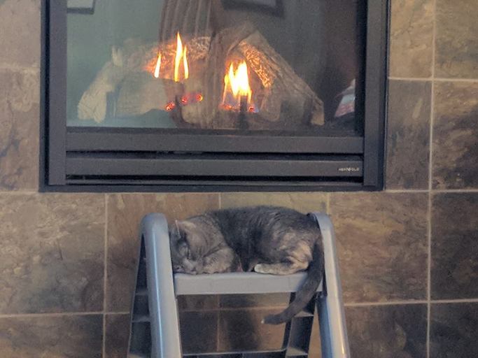 n3chelle's tweet photo. Staying warm with my kitty! I'm making the most of the season! What's your favorite winter activity? #SmileyWinter https://t.co/T07DsMugRJ