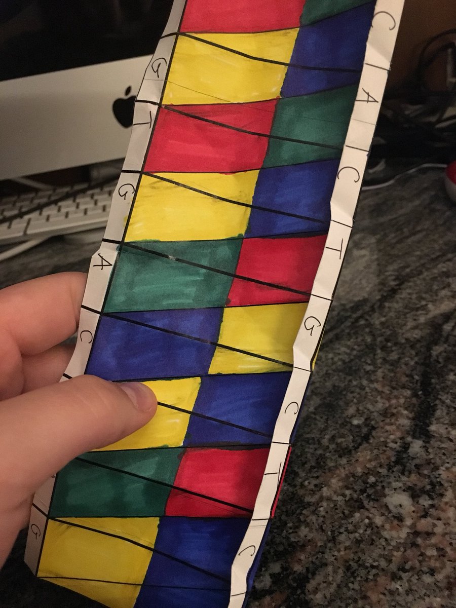 jennyclose_'s tweet photo. It looks pretty bad but the A= adenine G= guanine C= cytosine T=thymine https://t.co/r0OkKVUc0O
