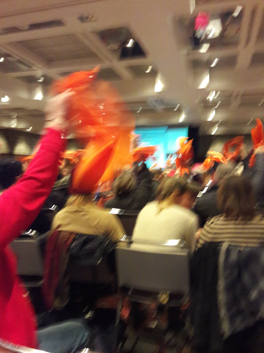 No clapping allowed so orange flags representing the horrible copper sludge are waved by the good side. #nopolymet