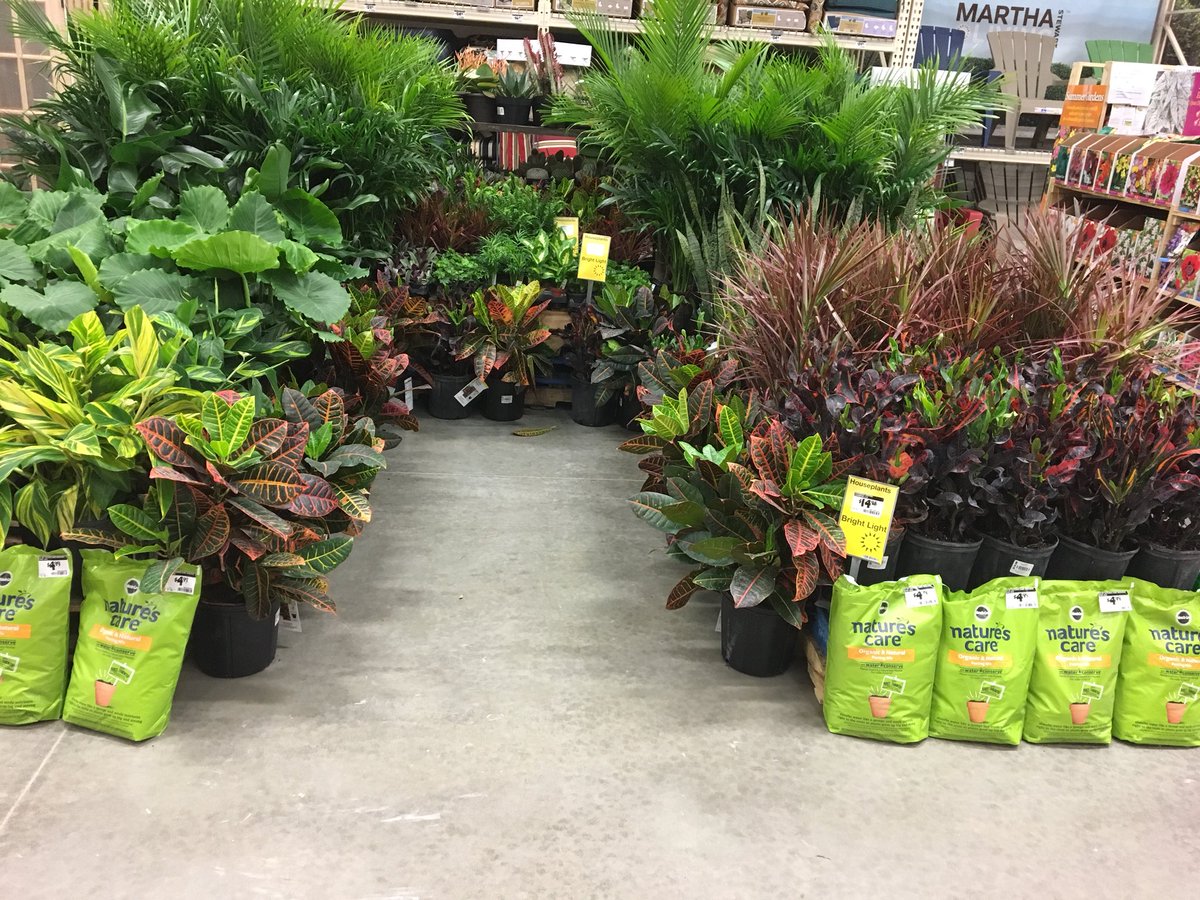 Chris Kershner tweet media