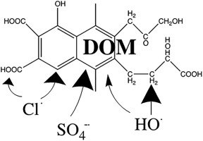 WaterRes_J's tweet photo. Transformation of #DissolvedOrganicMatter in aqueous-phase #UV-Based #AdvancedOxidationProcesses (#AOP) https://t.co/HJW7sgIz0h https://t.co/Tn2PyYKVrw
