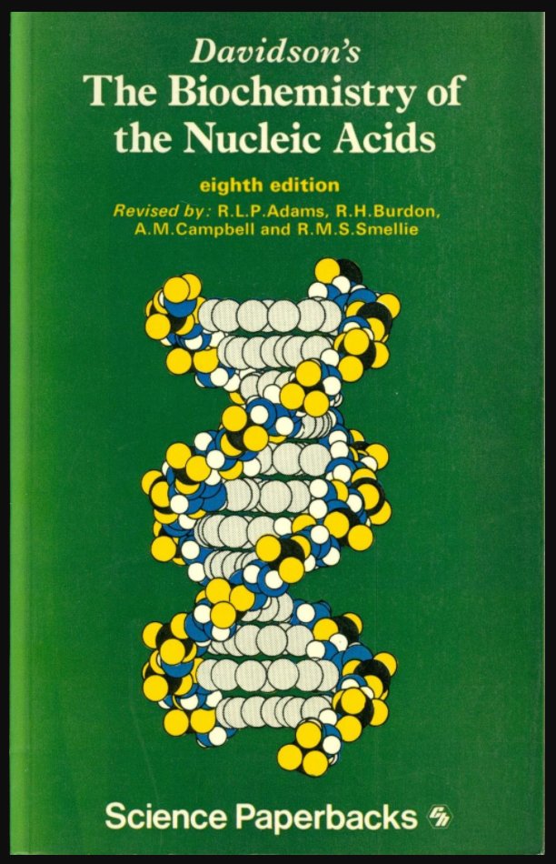 epub Das Automobil als konstruktive Metapher: Eine Diskursanalyse zur