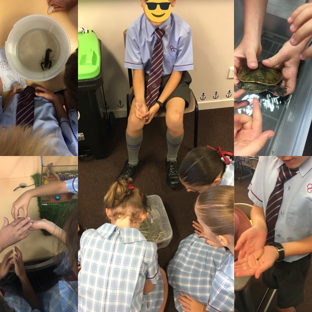 Year3AtOC's tweet photo. We sure had some living things in 3VP today? #LearningatOC https://t.co/rbFpKTwr5Y
