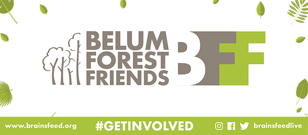 BelumRainforest's tweet photo. Give back to nature by becoming a Belum Forest Friend (BFF)! As a BFF,  you can help save the beautiful Belum Rainforest for future generations  through a small but invaluable contribution. Learn more here: https://t.co/MCNEJUTH49
 #belumrainforestresort #getinvolved https://t.co/nLavXb1On1