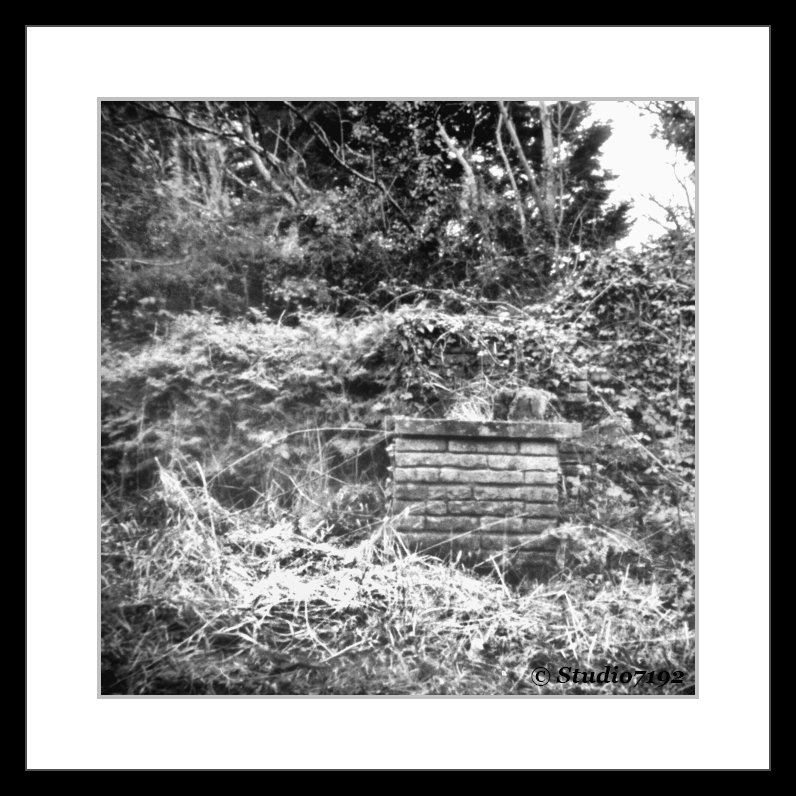 studio7192's tweet photo. Garden in the Spring #enniskillen #garden #spring #documentation #pinhole #cleanup #work #fermanagh #season #ireland #northernireland #ulster #noon66 #dub66 #leaf #plant #growth #mediumformat #ilford #fp4 - © https://t.co/UUjPGT2ZpM - https://t.co/cpFTfh2jHb https://t.co/Dr9iRbNrXB