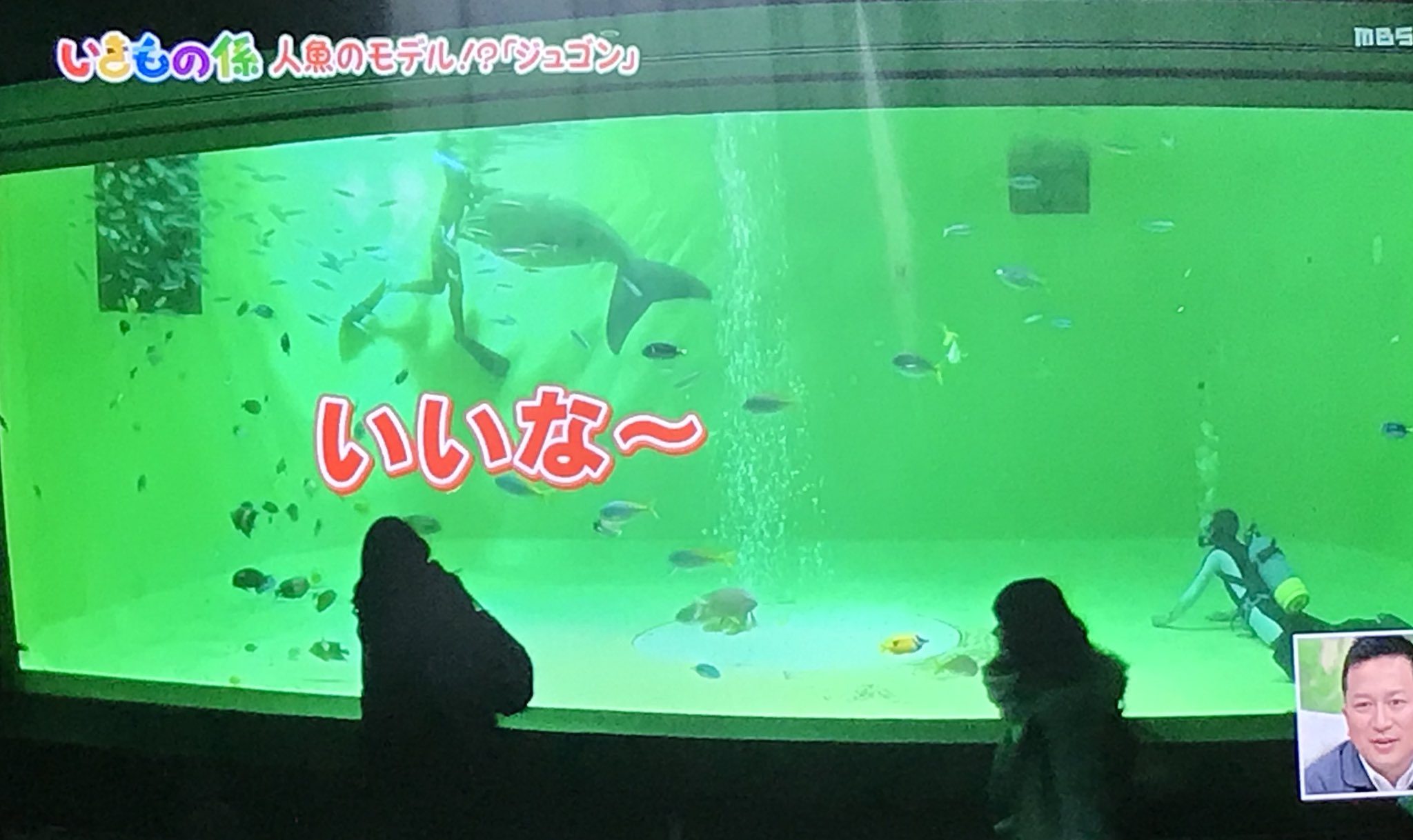 ももちょ 美脚すぎて女に間違えられるじゅんじゅん 中間淳太 ちちんぷいぷい