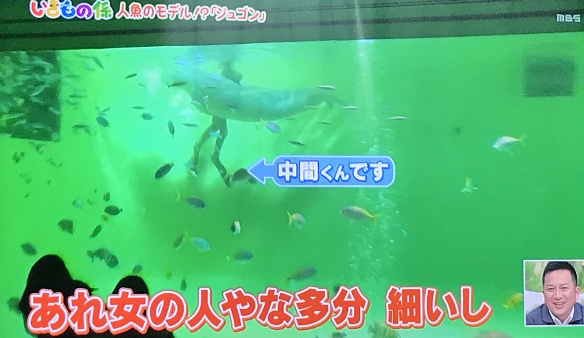 ももちょ Twitterren 美脚すぎて女に間違えられるじゅんじゅん 中間淳太 ちちんぷいぷい ももちょ Twitterren 美脚すぎて女に間違えられるじゅんじゅん 中間淳太 ちちんぷいぷい