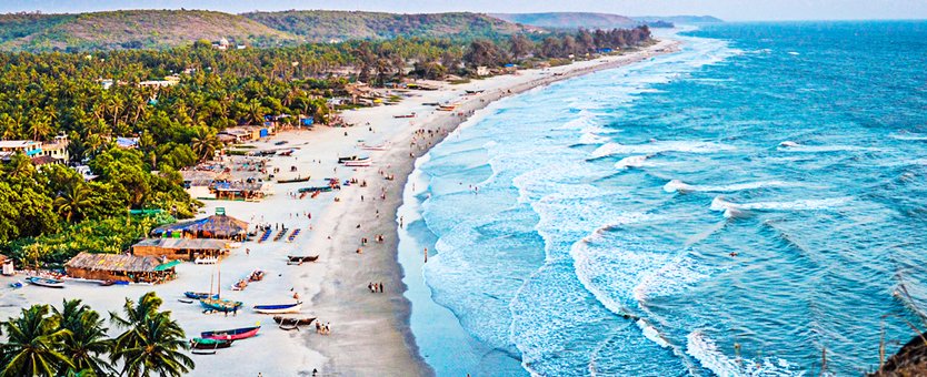 thrillophilia's tweet photo. Here is our 50 reasons to visit #Goa every year. What's your?

https://t.co/eOaNAYntZx

@TourismGoa 
#travel #ttot #FridayMotivation https://t.co/nNeWuoH2Ok