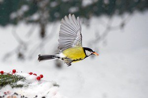 Не каждый день так везёт!