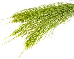 LeveaAntiAging's tweet photo. Firms and refreshes the skin while promoting healing. RIch in minerals that help rebuild tissue while possessing antibacterial and anti-inflammatory properties.
#skincare #skin #LEVEA #healthyskin #skinfood #skinlaundry #bblogger #glowingskin #skintips #beautytips #facecare https://t.co/ygtp4cbiSt
