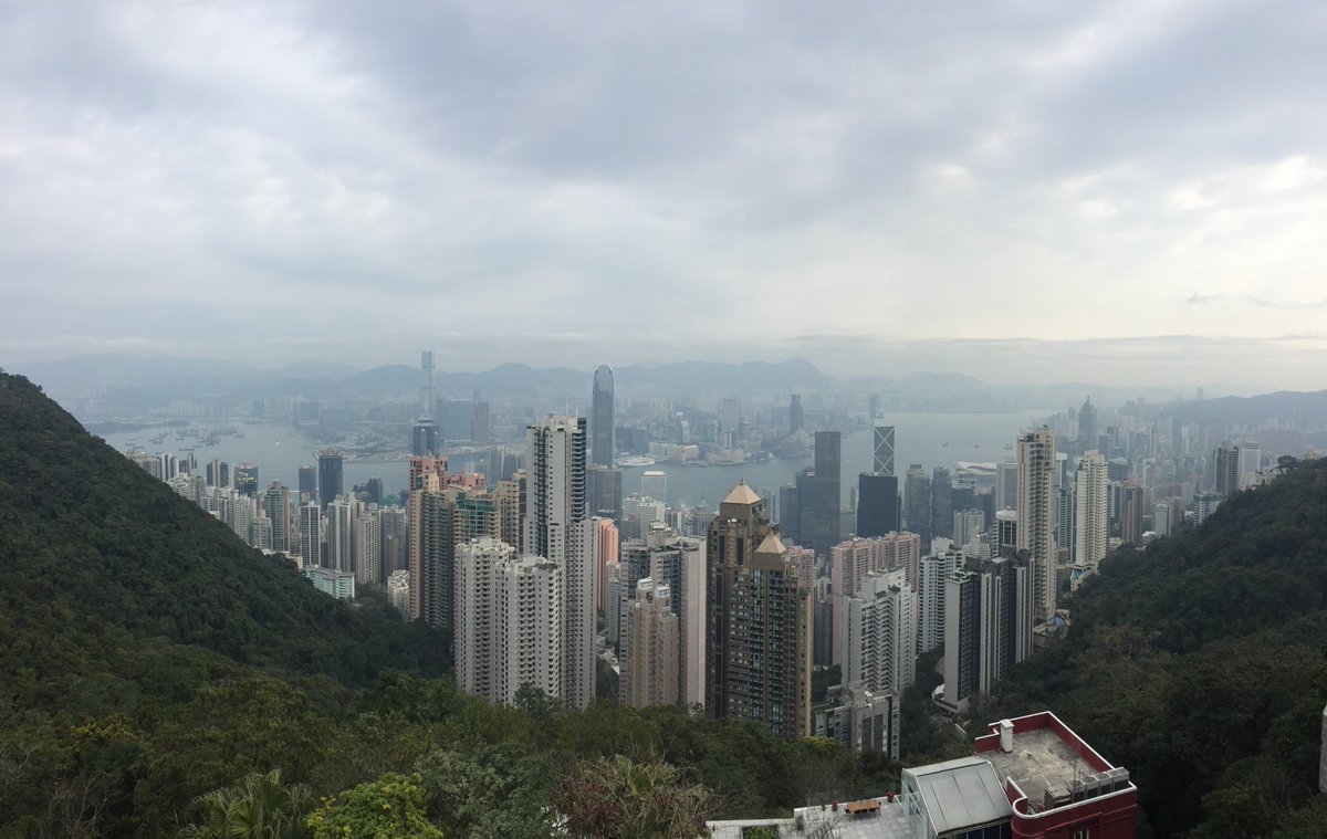 getzegal's tweet photo. Dragons are on the track again ! Today's DragonFit took us up to the peak on the morning trail. The view never gets old !
What is your favorite Hong Kong hike ?
#dragonfit #fitfriday #team #dragons https://t.co/CoFPEpKdLS