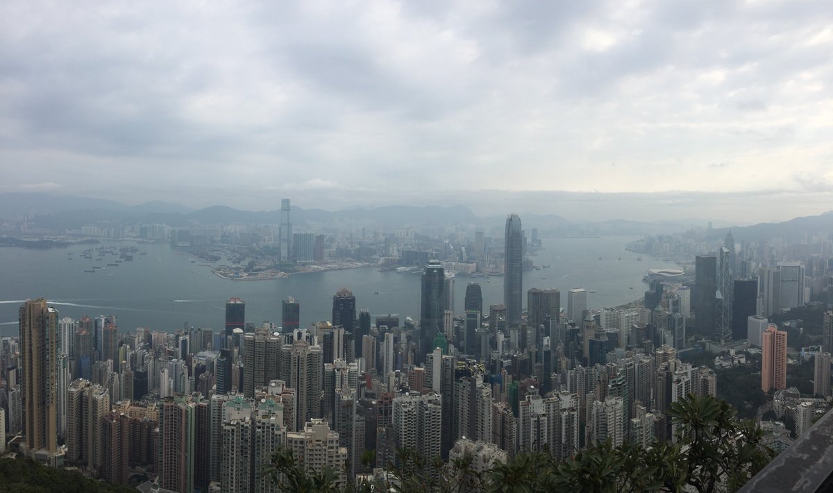 getzegal's tweet photo. Dragons are on the track again ! Today's DragonFit took us up to the peak on the morning trail. The view never gets old !
What is your favorite Hong Kong hike ?
#dragonfit #fitfriday #team #dragons https://t.co/CoFPEpKdLS