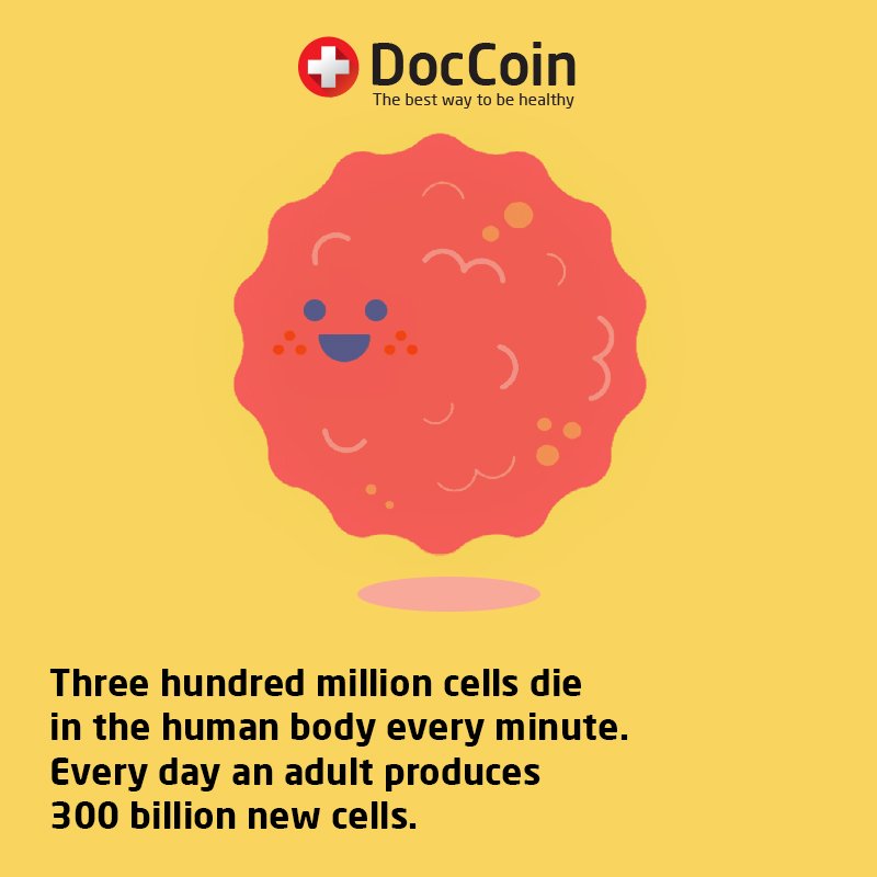 Doc_Coin's tweet photo. #DocCoin ⛑️ https://t.co/p3dQsFaOtR