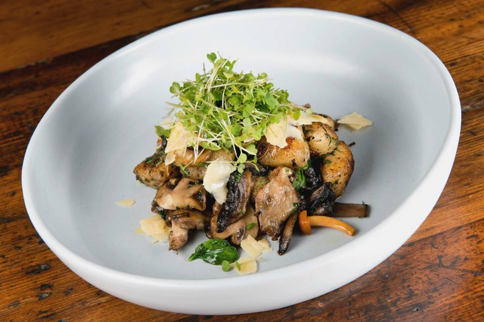 House made gnocchi with field, button and oyster mushrooms, pecorino, truffle oil and chiodini. A must try for mushroom lovers and only at WFG. #noosa #visitnoosa #woodfiregrillnoosa