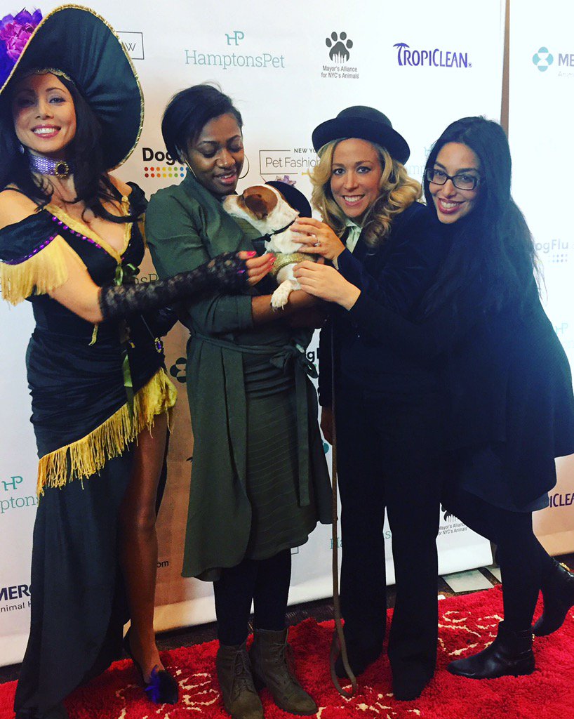 #NYFW at the #newyorkpetfashionshow