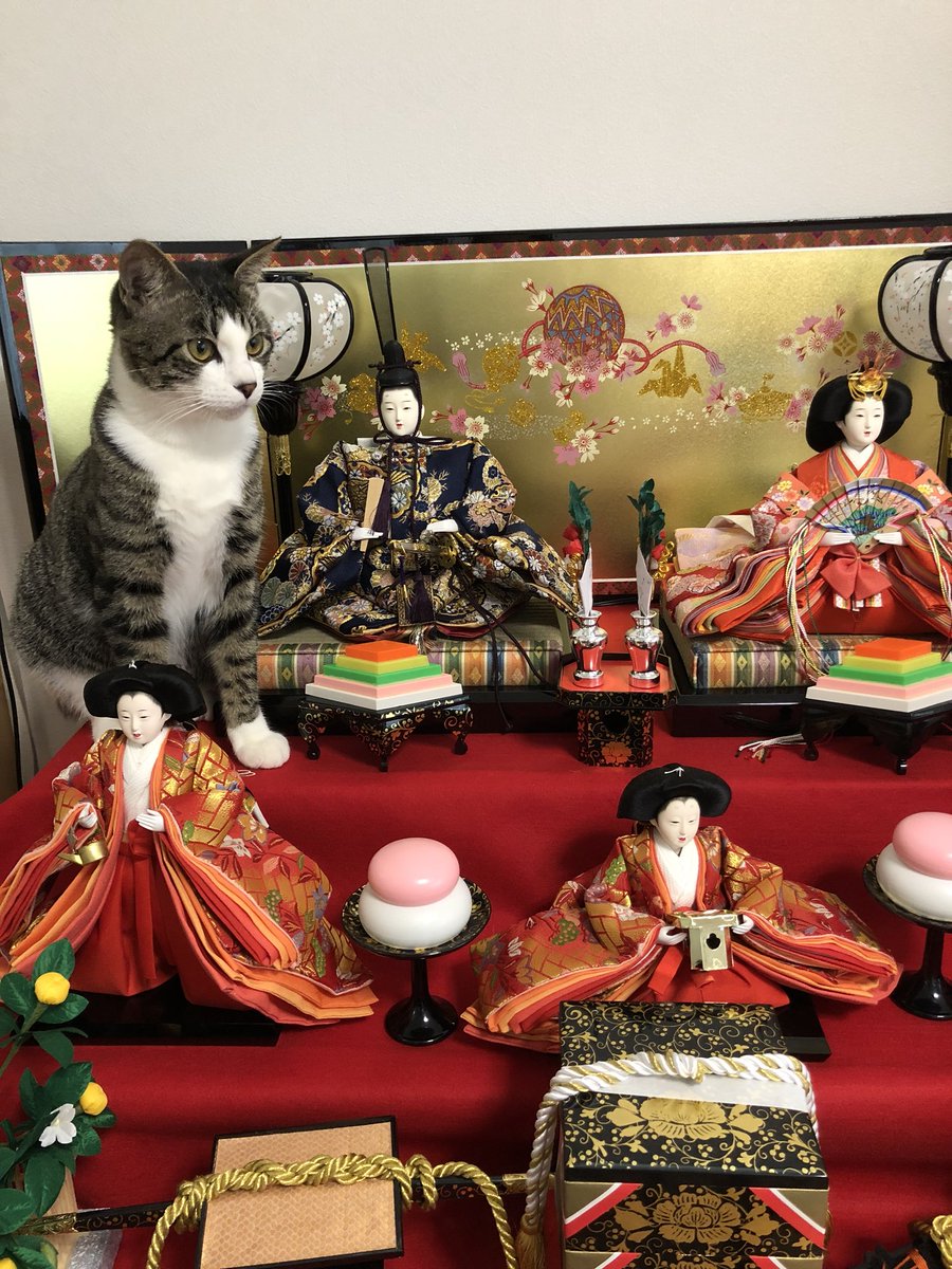 最安値 お座り猫 ひな人形 1379674|無料イラスト・フリー お雛様 猫の 最安値 お座り猫 ひな人形 1379674|無料イラスト・フリー お雛様 猫の