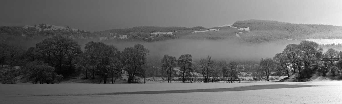'Blanketed'. Snow and ice blanket the fields and forests near Dunkeld, Perthshire. #ThePhotoHour #blackandwhitephotography #Scotland