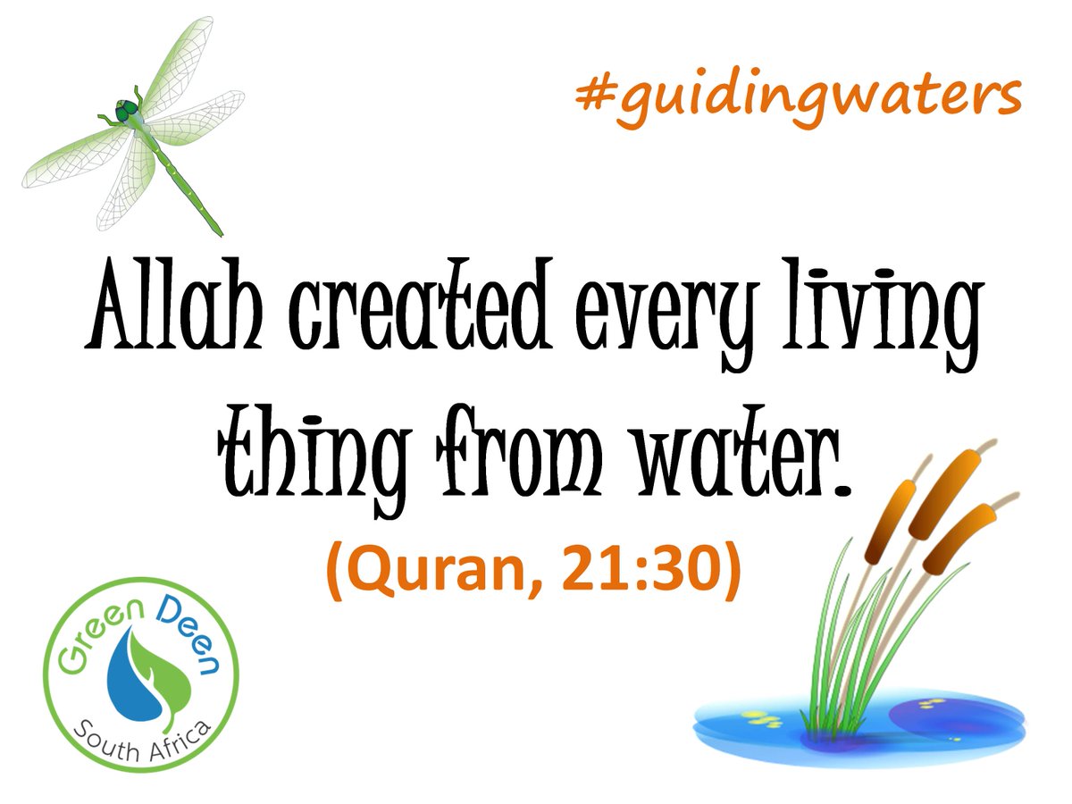 GreenDeenSA's tweet photo. #GuidingWaters
A few reminders on the importance of water and the importance of sharing water - with people, with animals, and especially when one has more water than what one needs.
Jum'uah Mubaarak! https://t.co/9UhxdCbDjx