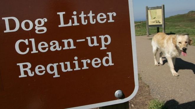 RadioHumberside's tweet photo. North East Lincolnshire council is trying to work out how to crack down on the problem of dog mess on the footpaths. A special team could be set up to tackle the issue. https://t.co/JFaeA1sF7z