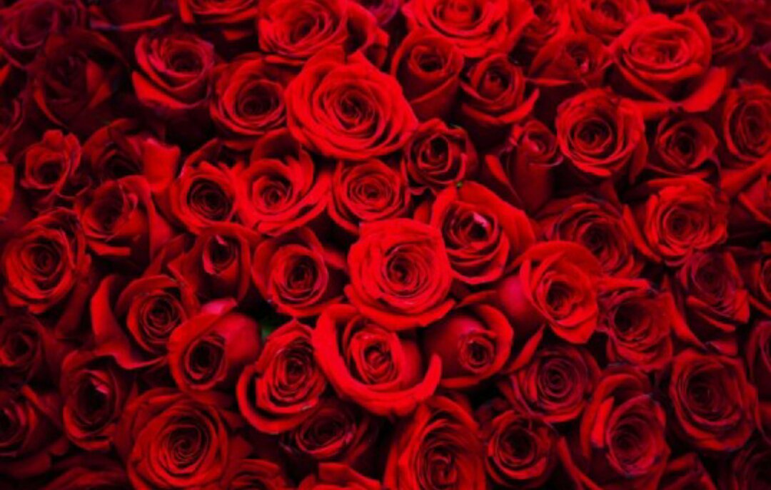 Looking for somewhere special for Valentines Day in the #barossa, we are open for Lunch and Dinner, complimentary Bubbles on Arrival and a very tasty food menu.  #love #dining #food #wine #Romance 85240250 for bookings before we are sold out!