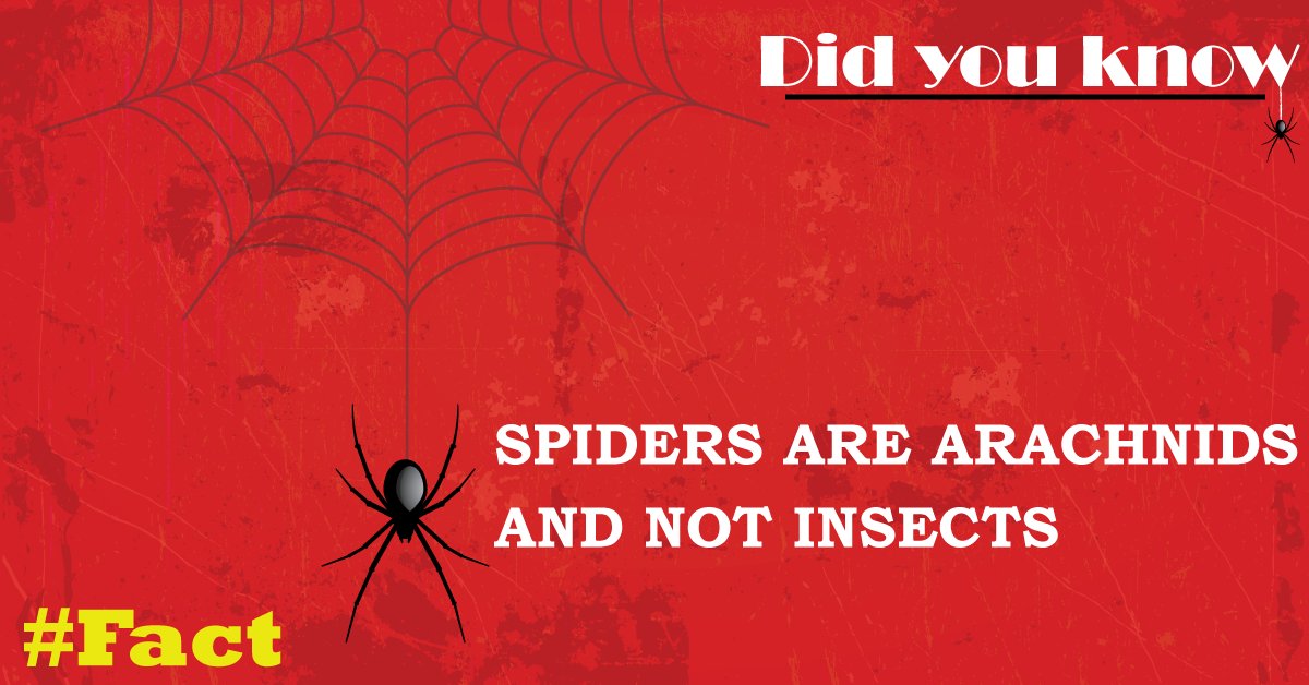 edurite's tweet photo. Did you know ?
#FactCheck #spider https://t.co/2azJxSVFoo