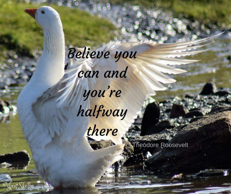 Believe you can and you're halfway there #FridayFeeling #photography #inspiration #believe